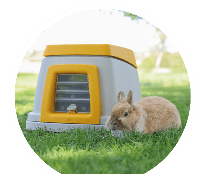 prospekt august bubble muemmeln und wohlfuehlen 680x579